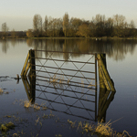 A lone gate and its reflection stand in a flooded field