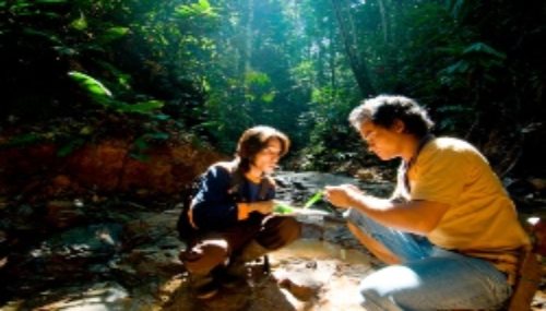 two researchers looking at plants