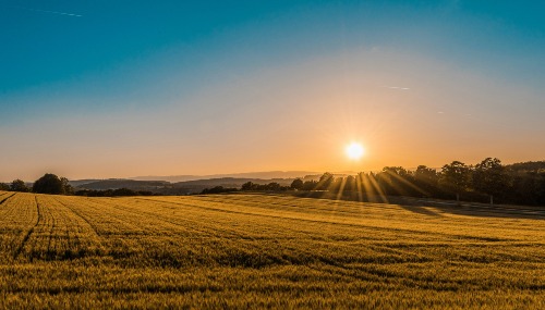 A field.