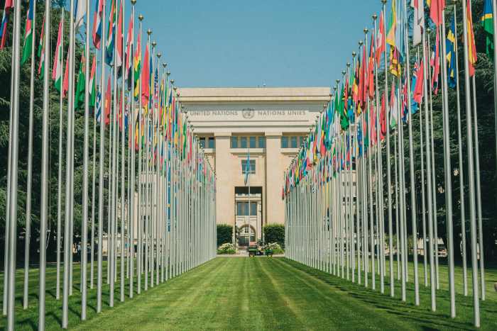 Flags lining up the path to the UN headquarters building