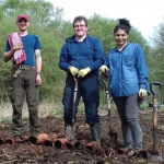 Nature restorers working 