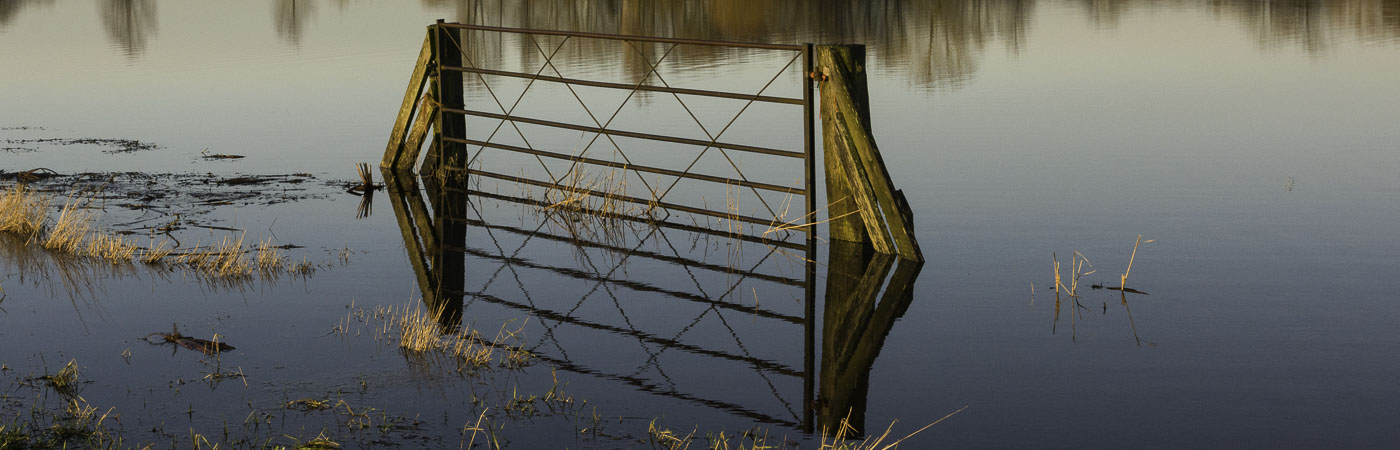 A gate and its reflection stand in the middle of a flooded field.