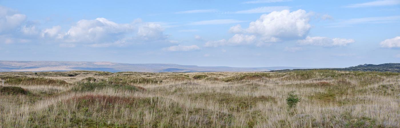 A landscape view of grassy peatlands looking across to blue sky and hills.