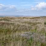 A view across grassy peatlands towards blue sky and hills