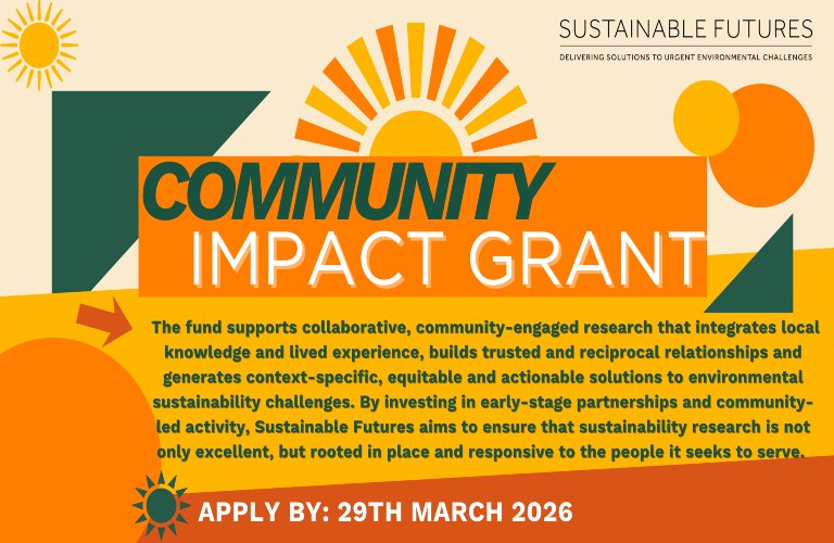 Sunshine graphic with Community Impact Grant text