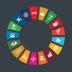 SDG exercise